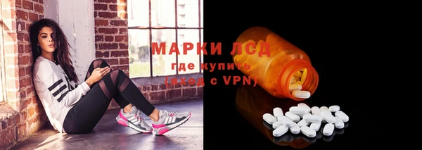 прущие грибы Армянск