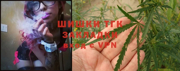 прущие грибы Армянск