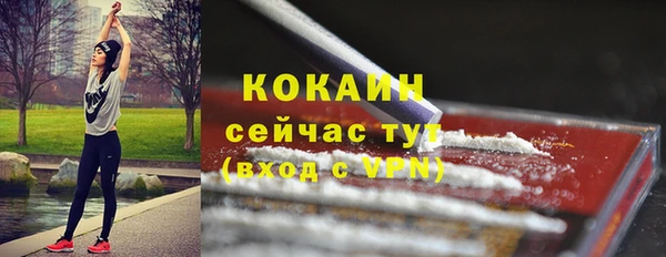 меф Арсеньев